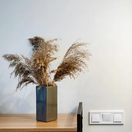 Riverside Design With Underground Private Parking アパート リガ